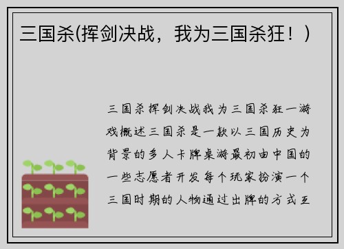 三国杀(挥剑决战，我为三国杀狂！)