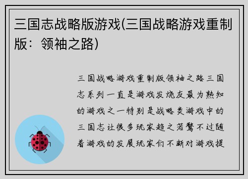 三国志战略版游戏(三国战略游戏重制版：领袖之路)